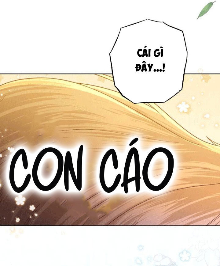 Hoàng Hậu Tái Hôn - Chapter 142 - Page 21