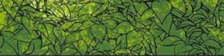 Hoàng Hậu Tái Hôn - Chapter 2 - Page 55