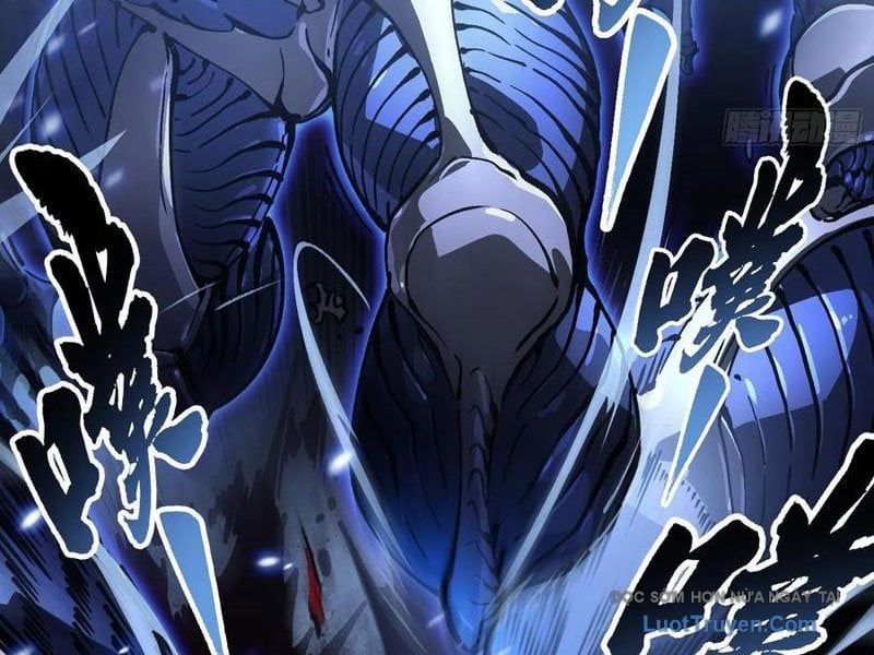 Cao Võ Tiến Hóa: Bắt Đầu Thức Tỉnh Quái Thú Chi Vương - Chapter 62 - Page 16