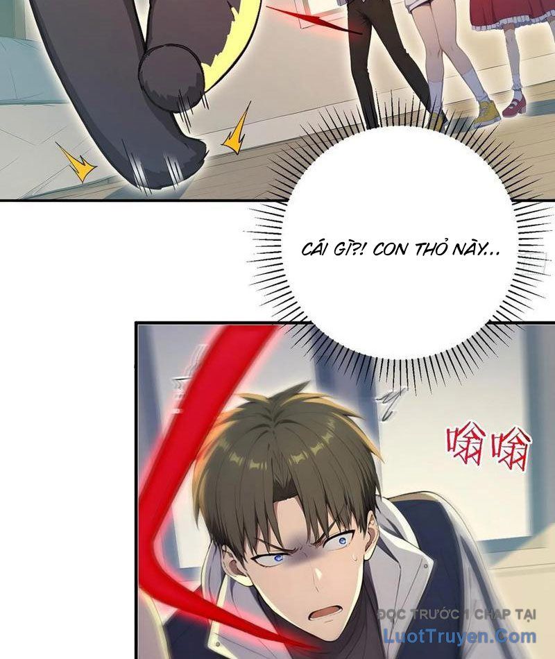 Người Chơi Siêu May Mắn - Chapter 67 - Page 5