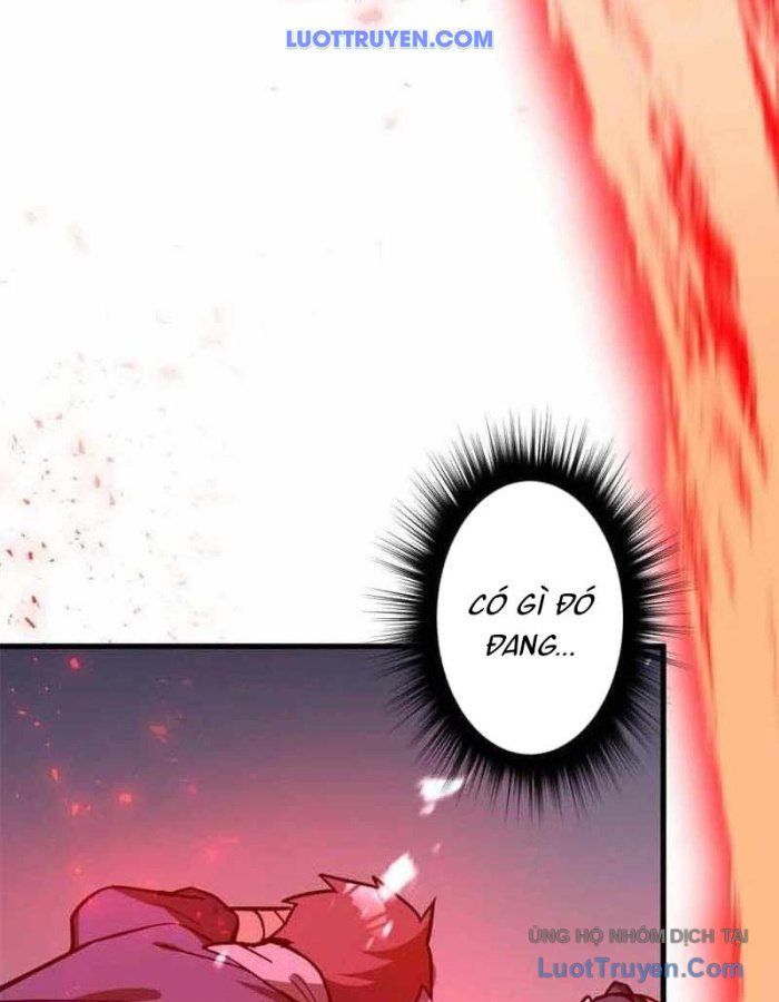 Phản Anh Hùng:  Kẻ Dưới Đáy Hệ Thống Chức Nghiệp - Chapter 5 - Page 163