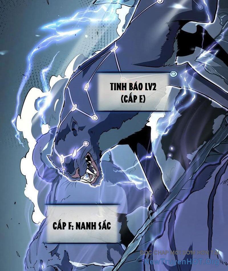 Thức Tỉnh Toàn Chức - Chapter 19 - Page 13