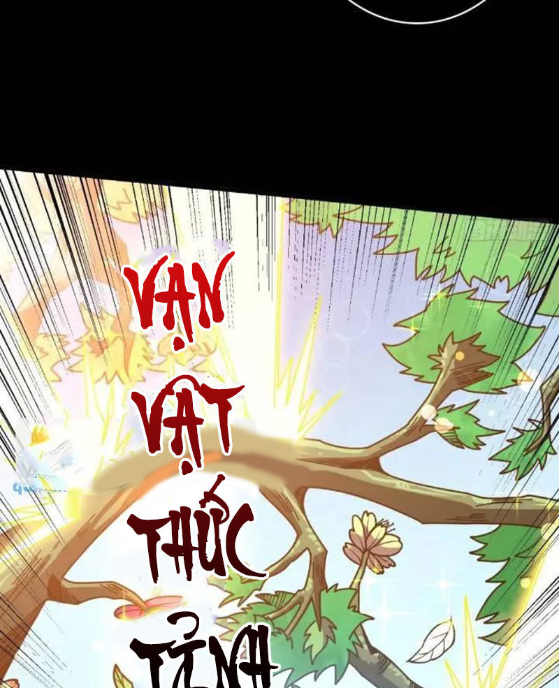 Vừa Chơi Đã Có Tài Khoản Vương Giả - Chapter 393 - Page 33