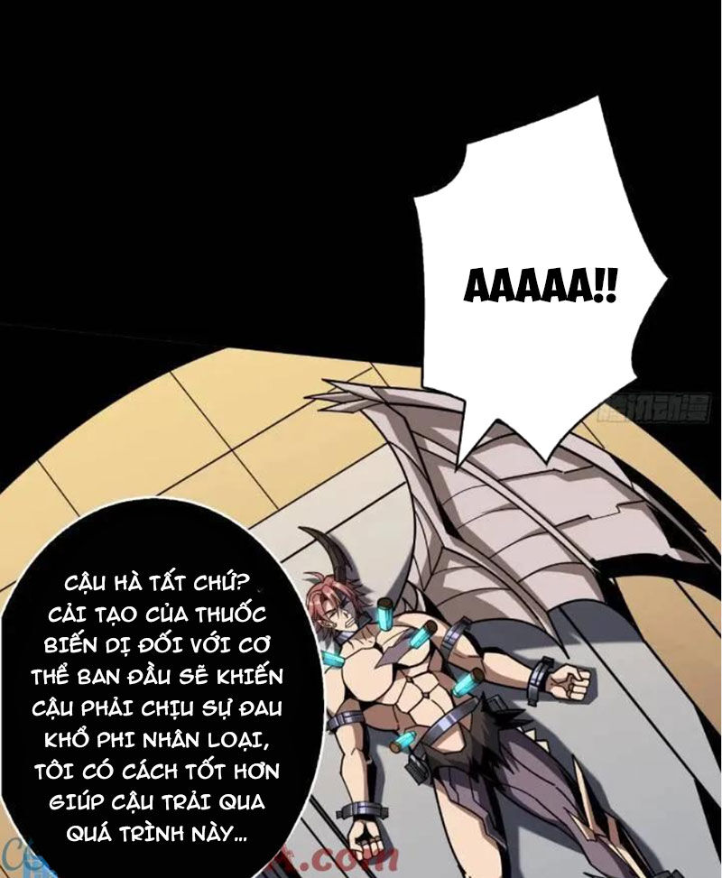 Vừa Chơi Đã Có Tài Khoản Vương Giả - Chapter 393 - Page 5