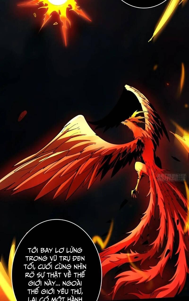 Vừa Chơi Đã Có Tài Khoản Vương Giả - Chapter 396 - Page 54