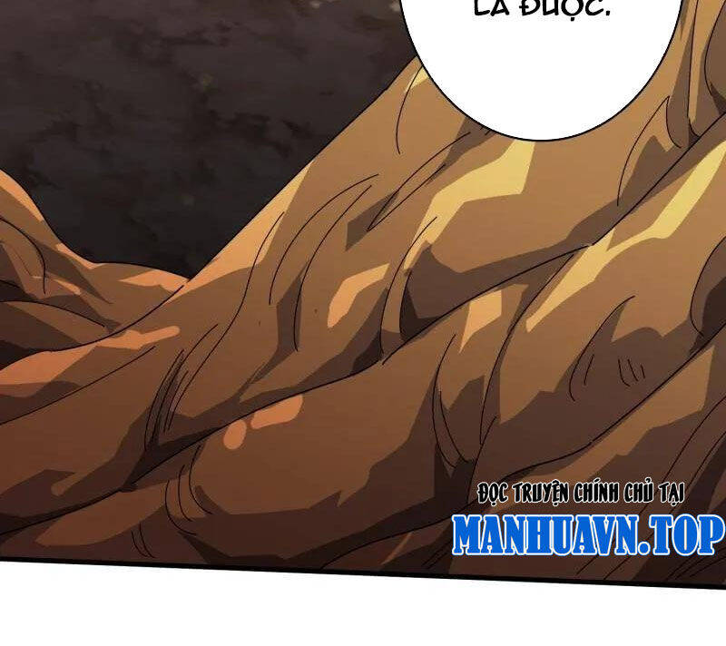 Vừa Chơi Đã Có Tài Khoản Vương Giả - Chapter 481 - Page 48