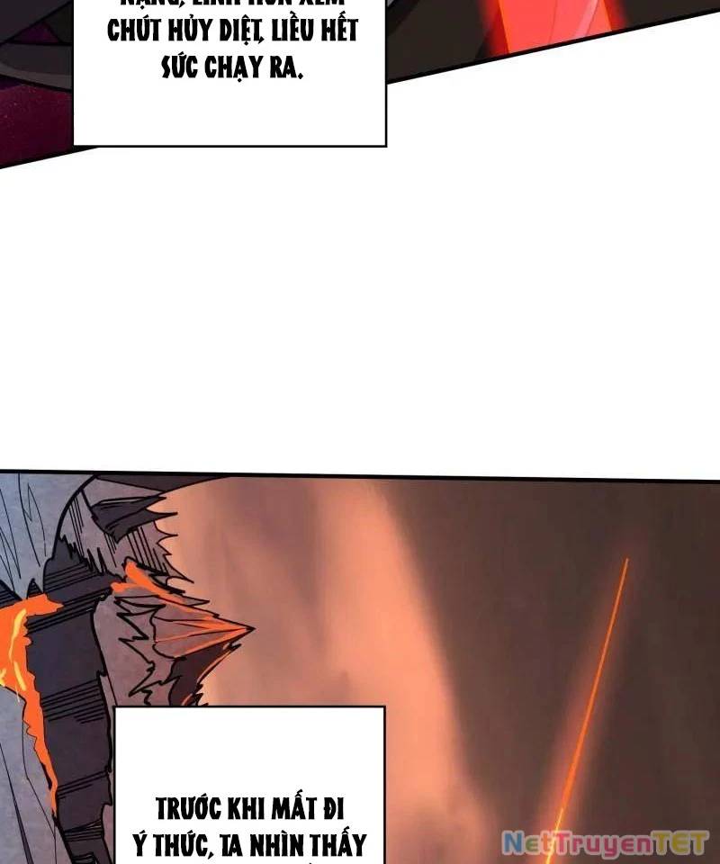 Vừa Chơi Đã Có Tài Khoản Vương Giả - Chapter 502 - Page 32