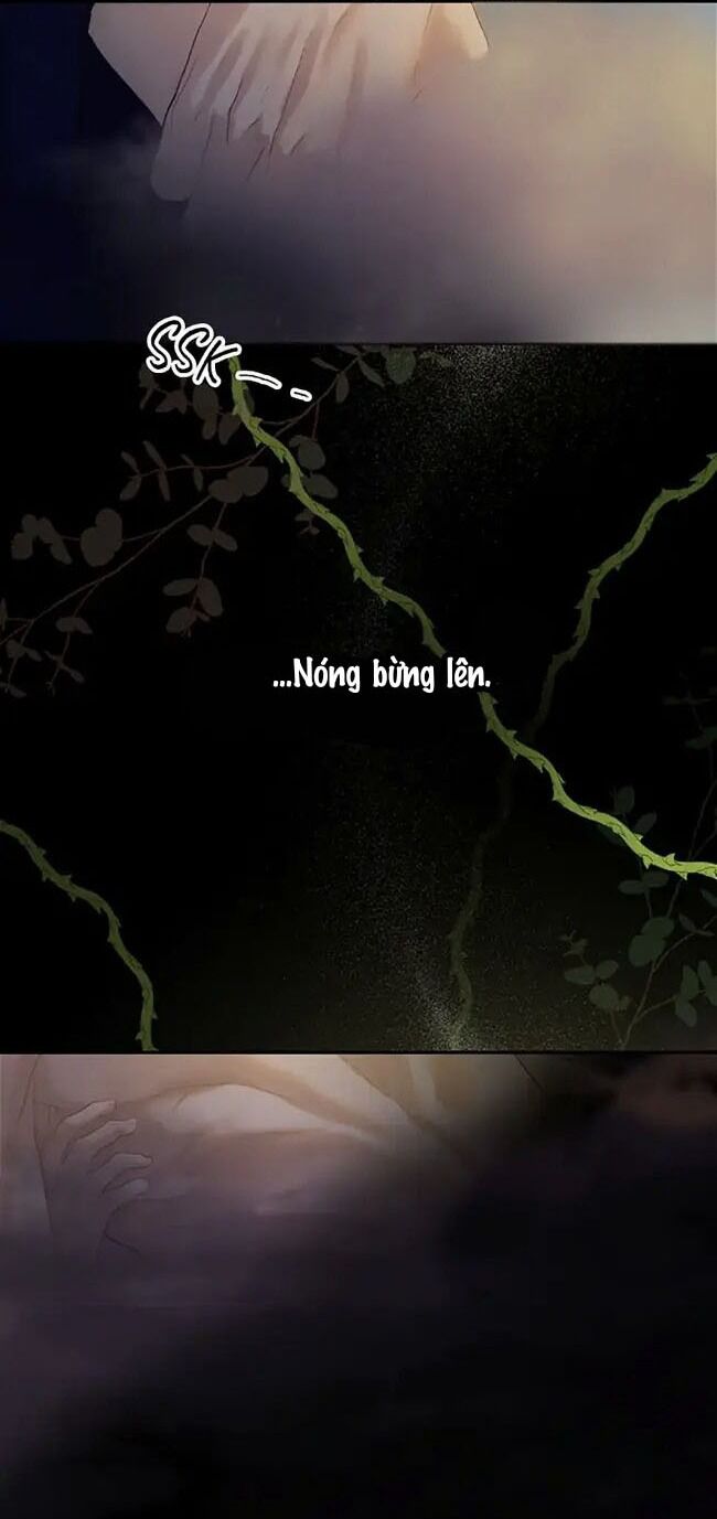 Cuộc Sống Xa Hoa Của Cô Nhân Tình Giả - Chapter 1 - Page 53