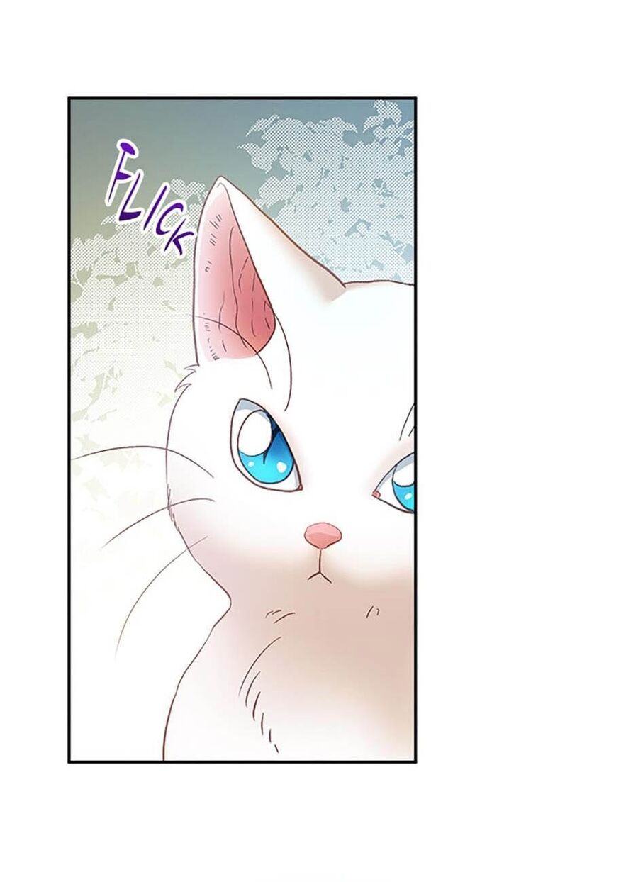 Cuộc Sống Xa Hoa Của Cô Nhân Tình Giả - Chapter 23 - Page 9