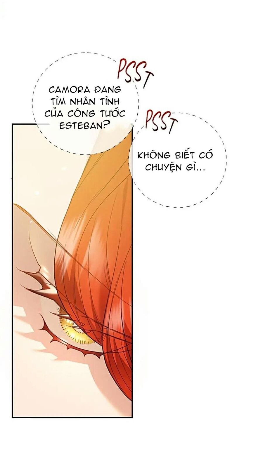 Cuộc Sống Xa Hoa Của Cô Nhân Tình Giả - Chapter 33 - Page 27