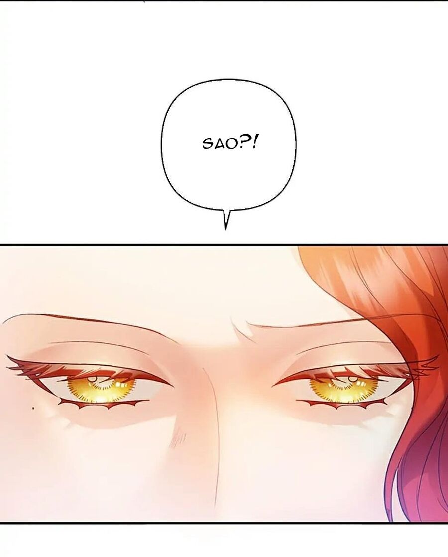 Cuộc Sống Xa Hoa Của Cô Nhân Tình Giả - Chapter 33 - Page 41