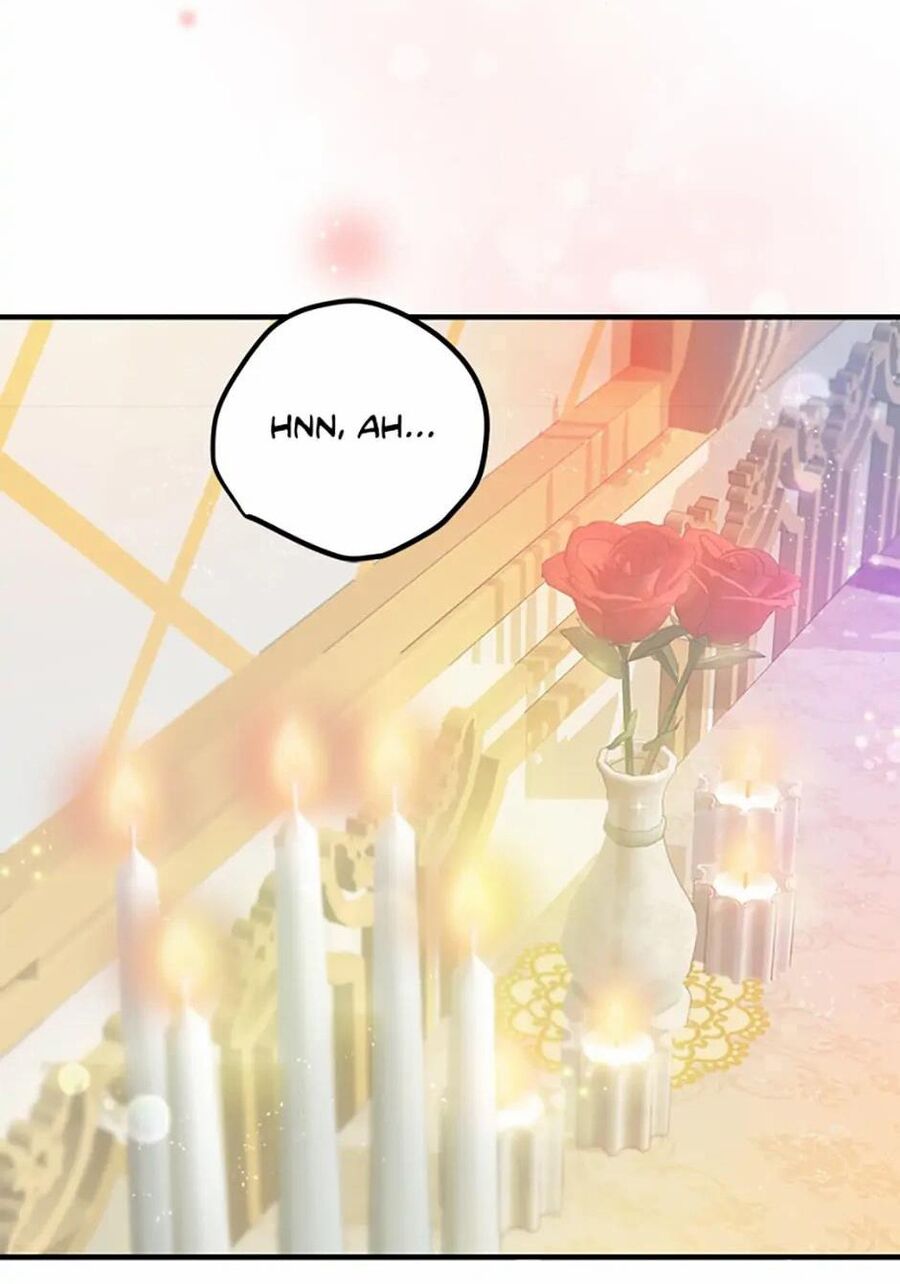 Cuộc Sống Xa Hoa Của Cô Nhân Tình Giả - Chapter 37 - Page 17