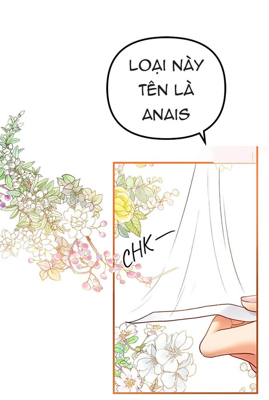 Cuộc Sống Xa Hoa Của Cô Nhân Tình Giả - Chapter 46 - Page 35