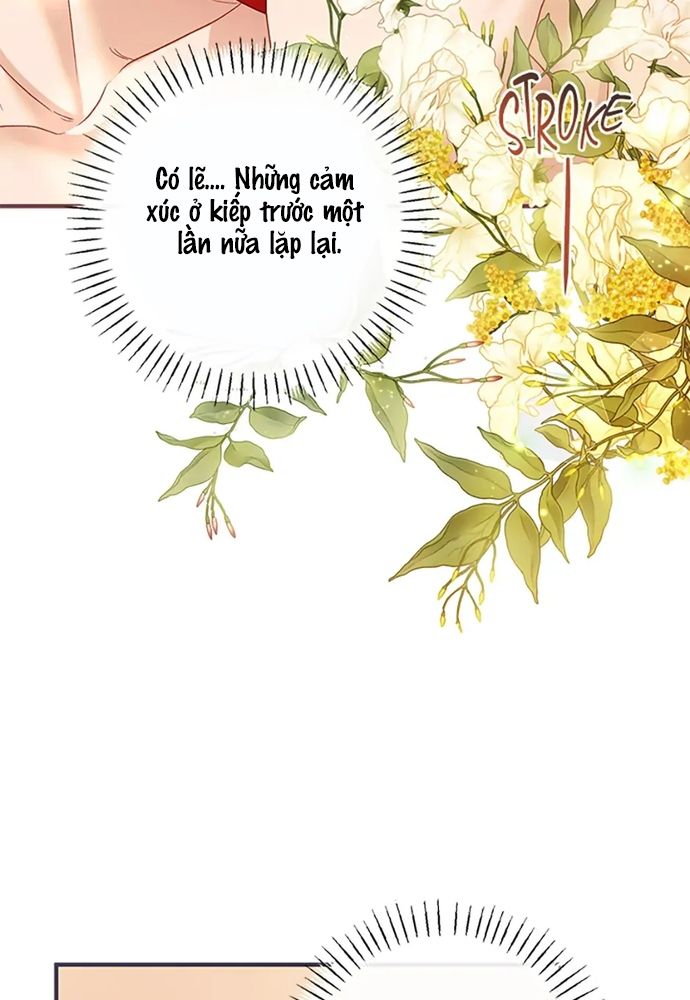 Cuộc Sống Xa Hoa Của Cô Nhân Tình Giả - Chapter 76 - Page 19