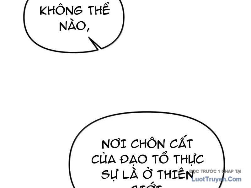 Thiên Đạo Này Cũng Không Ngốc Lắm - Chapter 161 - Page 12