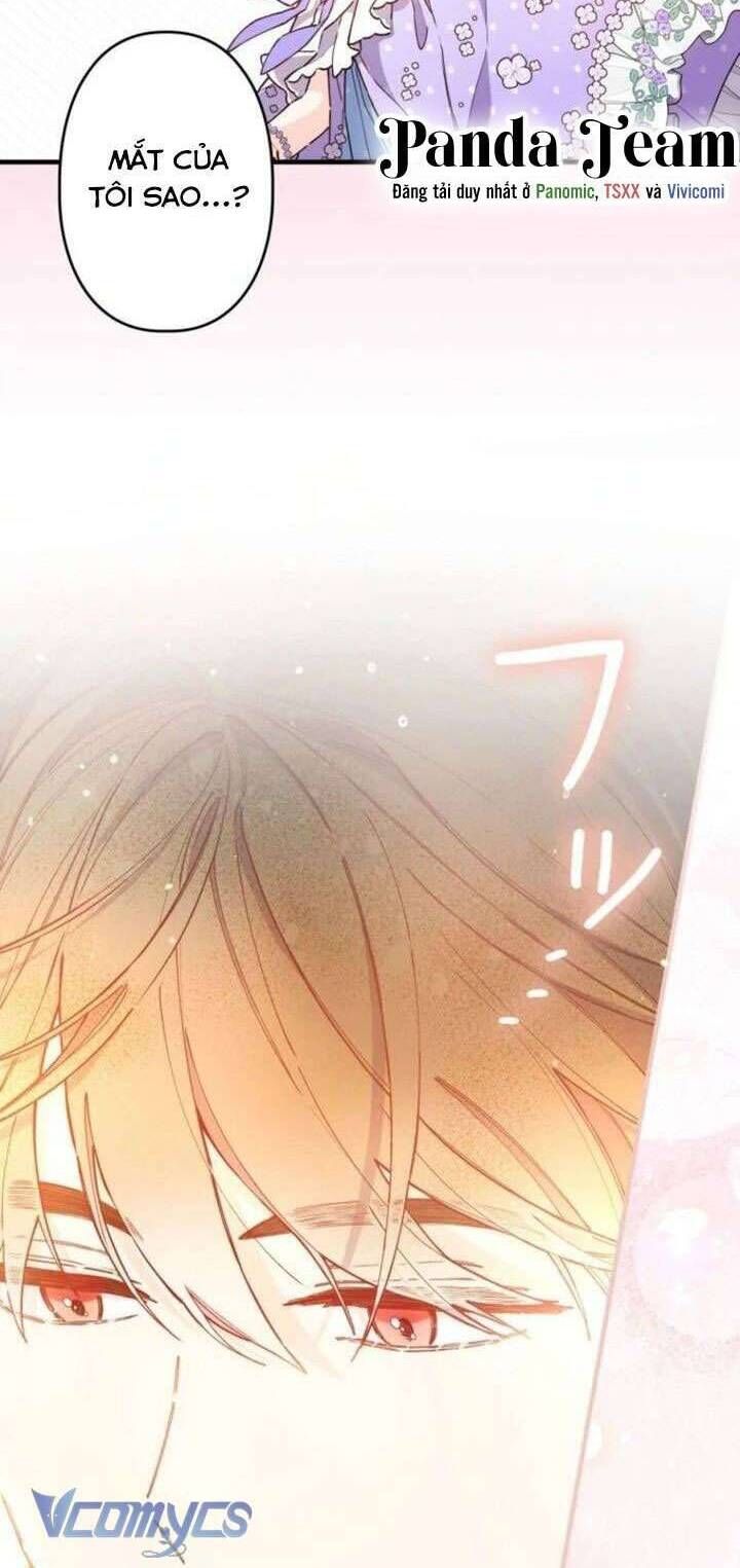 Kiếp Này Em Sẽ Không Sống Dưới Cái Bóng Của Người Chị Song Sinh - Chapter 10 - Page 27