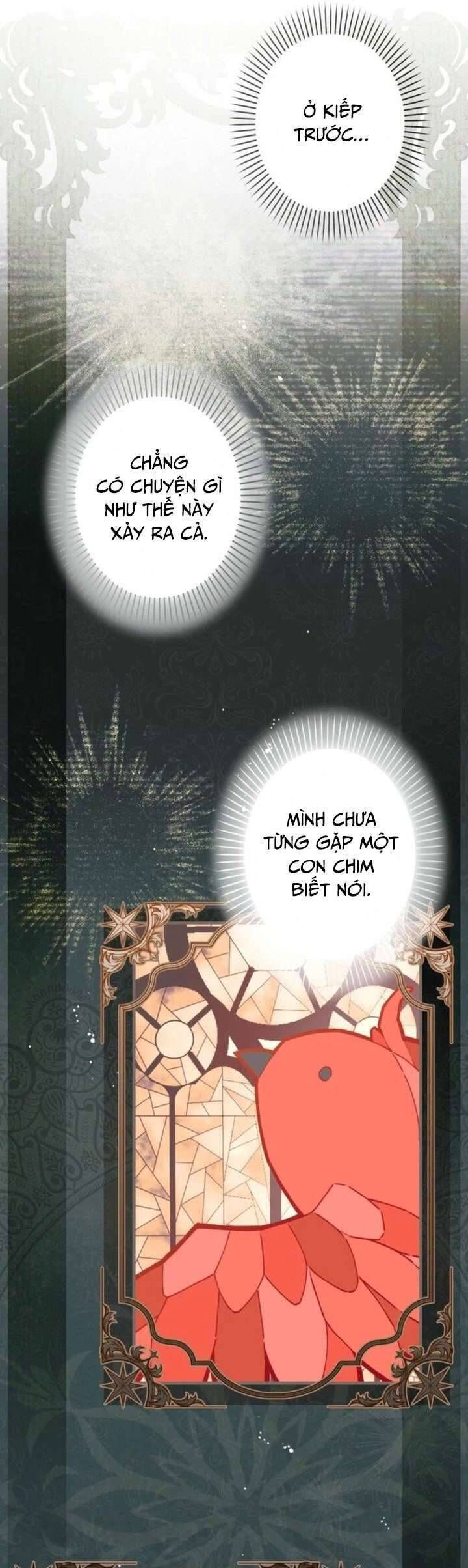 Kiếp Này Em Sẽ Không Sống Dưới Cái Bóng Của Người Chị Song Sinh - Chapter 11 - Page 21