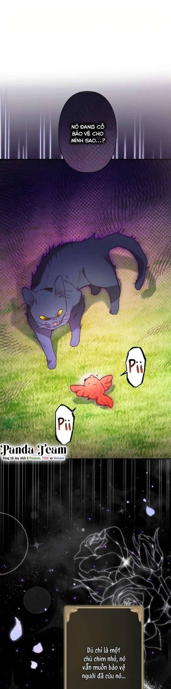 Kiếp Này Em Sẽ Không Sống Dưới Cái Bóng Của Người Chị Song Sinh - Chapter 6 - Page 10