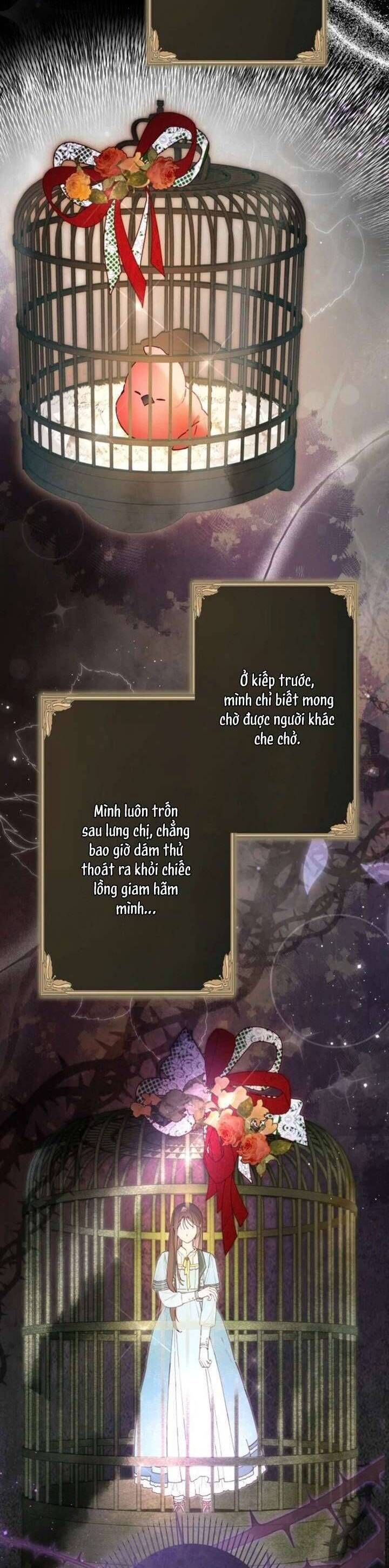 Kiếp Này Em Sẽ Không Sống Dưới Cái Bóng Của Người Chị Song Sinh - Chapter 6 - Page 11