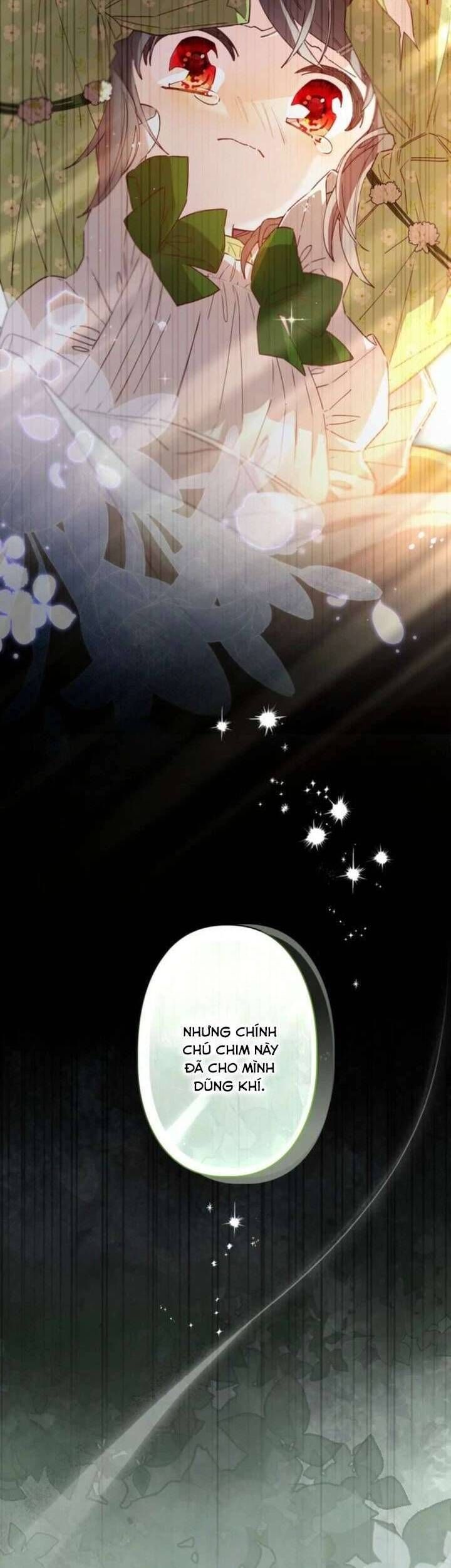 Kiếp Này Em Sẽ Không Sống Dưới Cái Bóng Của Người Chị Song Sinh - Chapter 6 - Page 17