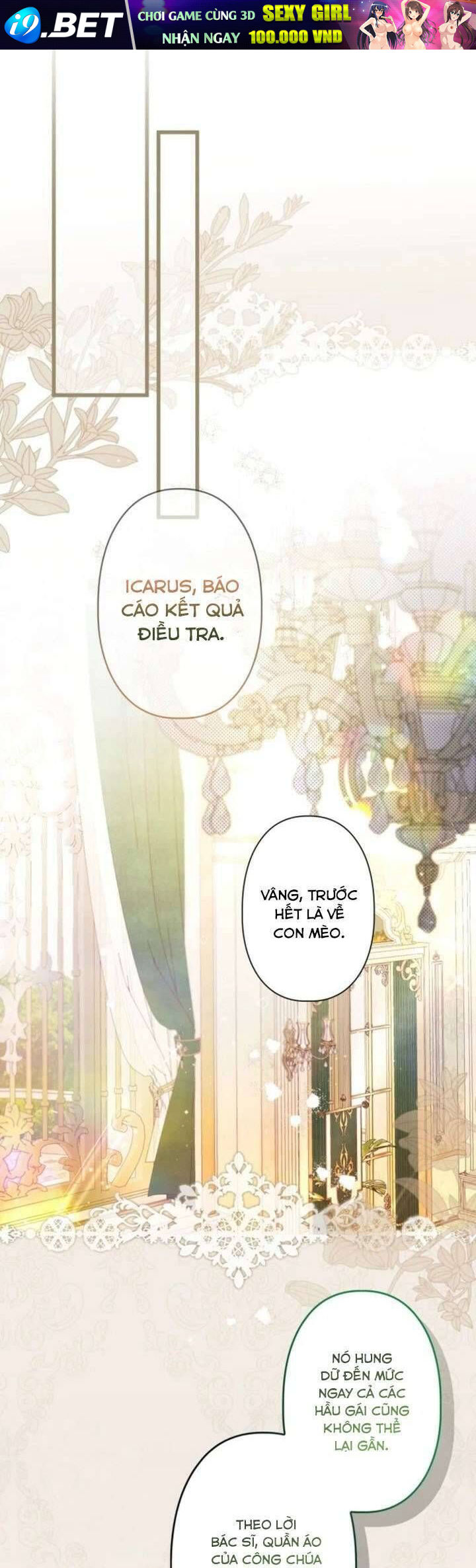 Kiếp Này Em Sẽ Không Sống Dưới Cái Bóng Của Người Chị Song Sinh - Chapter 7 - Page 12