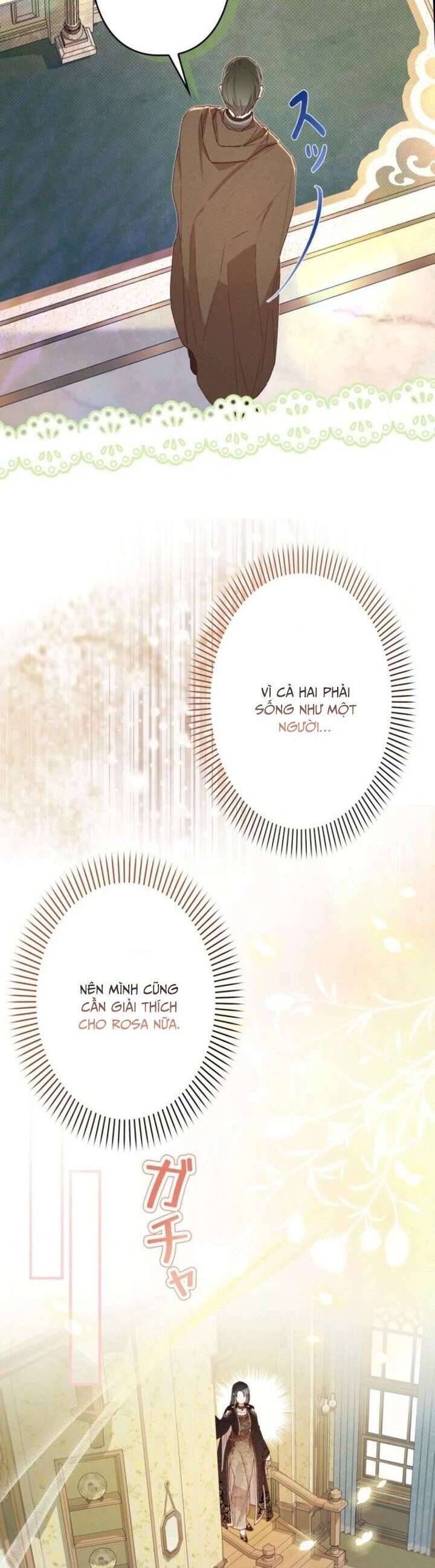 Kiếp Này Em Sẽ Không Sống Dưới Cái Bóng Của Người Chị Song Sinh - Chapter 7 - Page 17