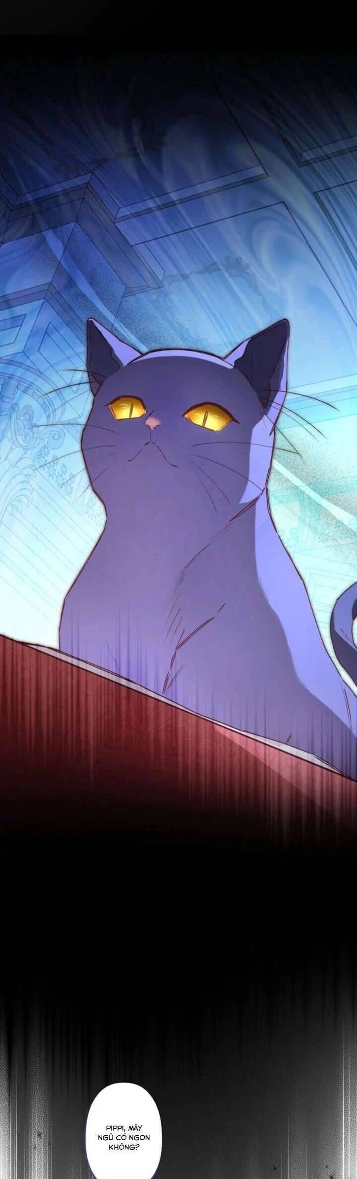 Kiếp Này Em Sẽ Không Sống Dưới Cái Bóng Của Người Chị Song Sinh - Chapter 7 - Page 42