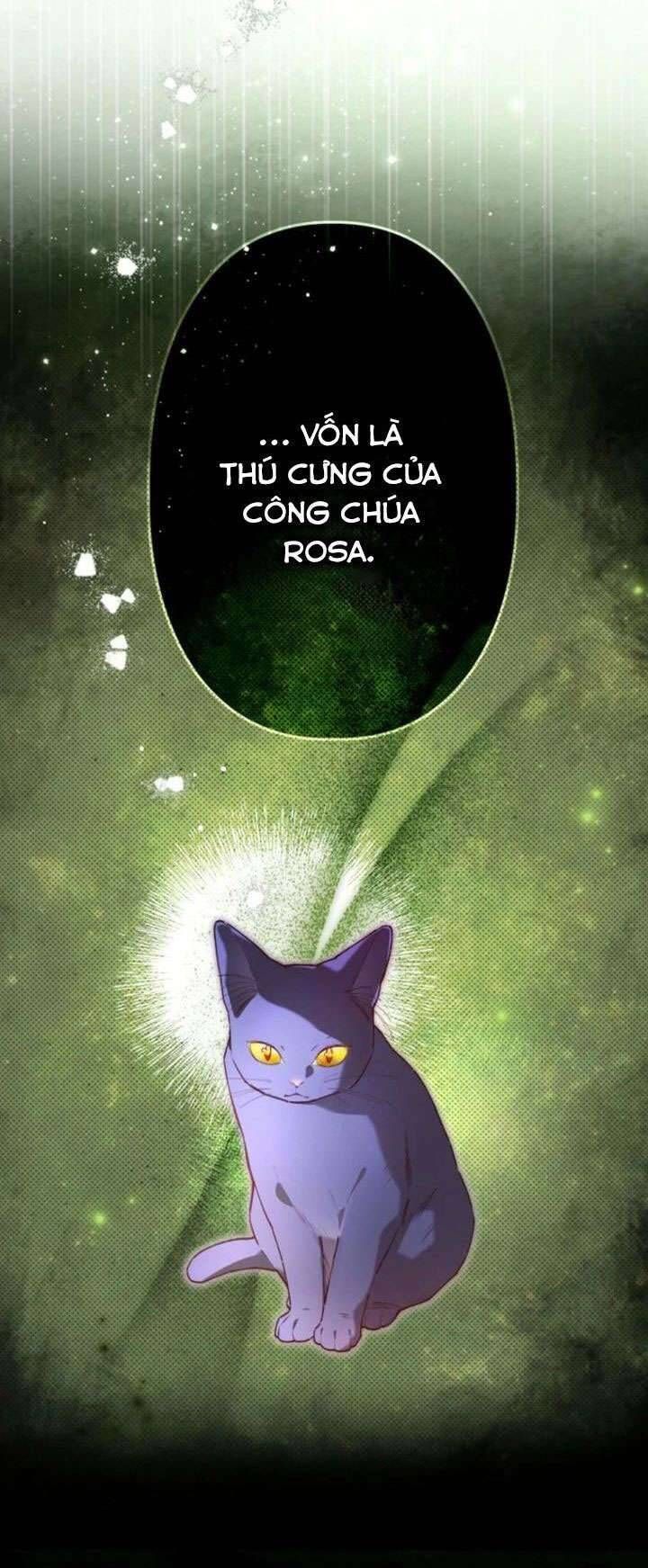 Kiếp Này Em Sẽ Không Sống Dưới Cái Bóng Của Người Chị Song Sinh - Chapter 8 - Page 12