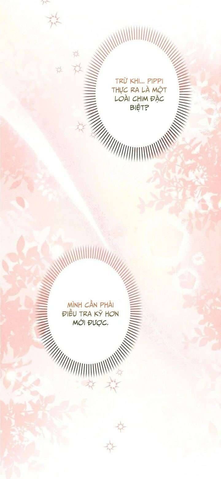 Kiếp Này Em Sẽ Không Sống Dưới Cái Bóng Của Người Chị Song Sinh - Chapter 8 - Page 18