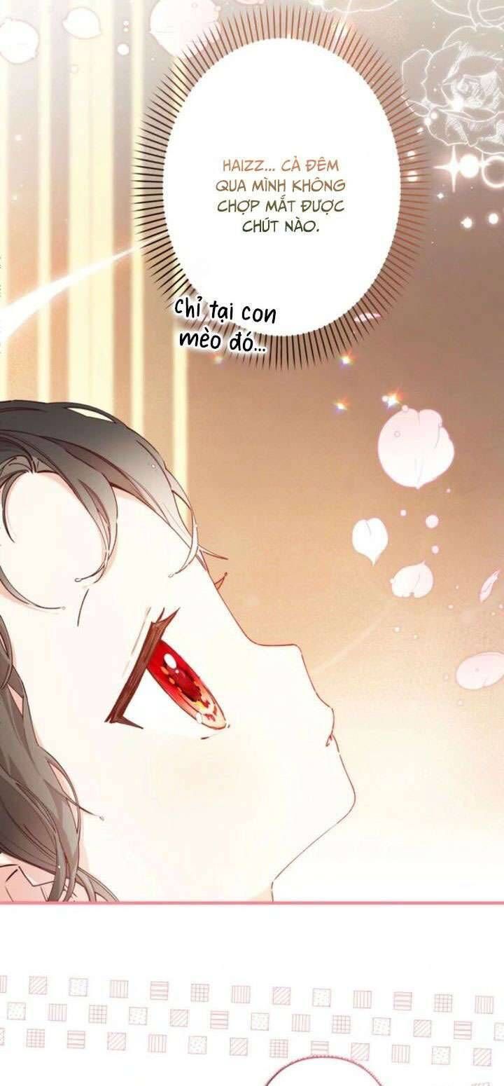 Kiếp Này Em Sẽ Không Sống Dưới Cái Bóng Của Người Chị Song Sinh - Chapter 8 - Page 6