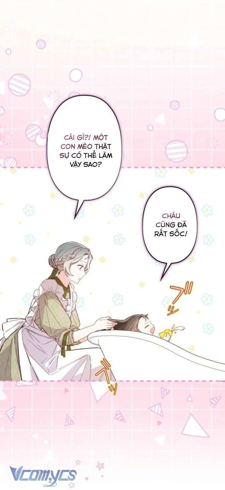 Kiếp Này Em Sẽ Không Sống Dưới Cái Bóng Của Người Chị Song Sinh - Chapter 8 - Page 9