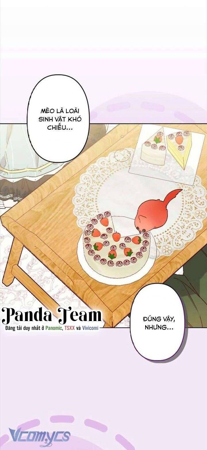 Kiếp Này Em Sẽ Không Sống Dưới Cái Bóng Của Người Chị Song Sinh - Chapter 9 - Page 20