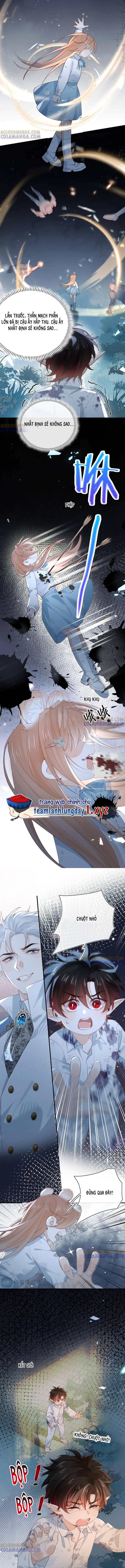 Cạm Bẫy Của Hắn - Chapter 31 - Page 4