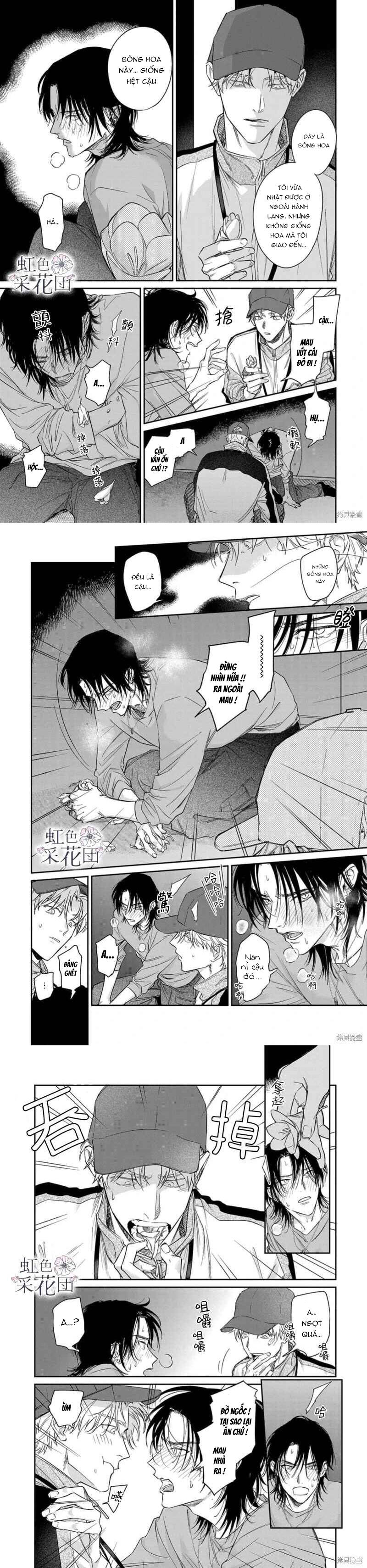 Nụ Hôn Cho Kẻ Trộm Hoa - Chapter 1 - Page 3