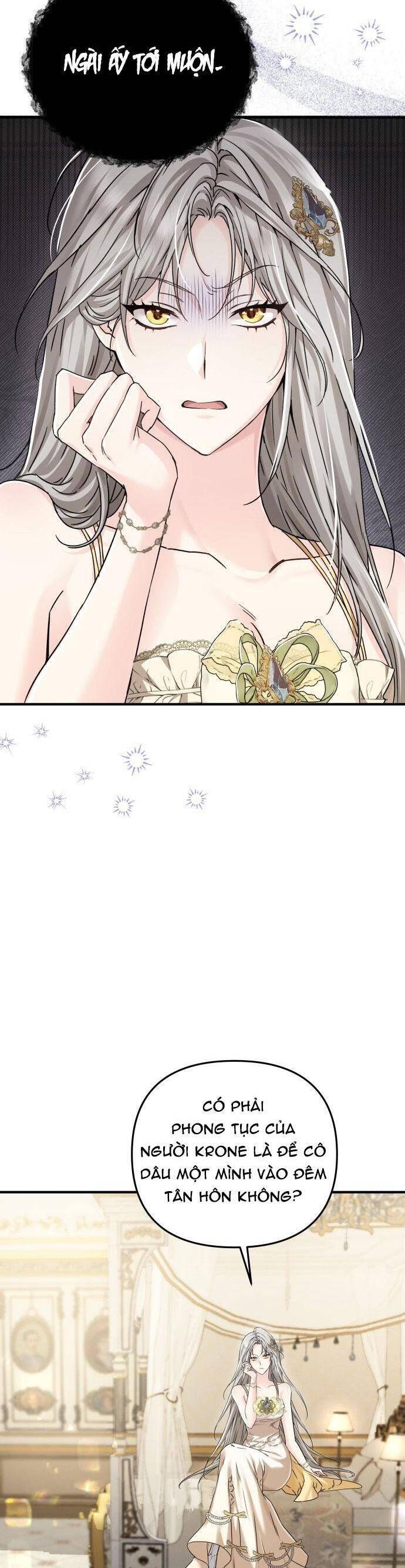 Trên Danh Nghĩa Vợ Chồng - Chapter 1 - Page 21