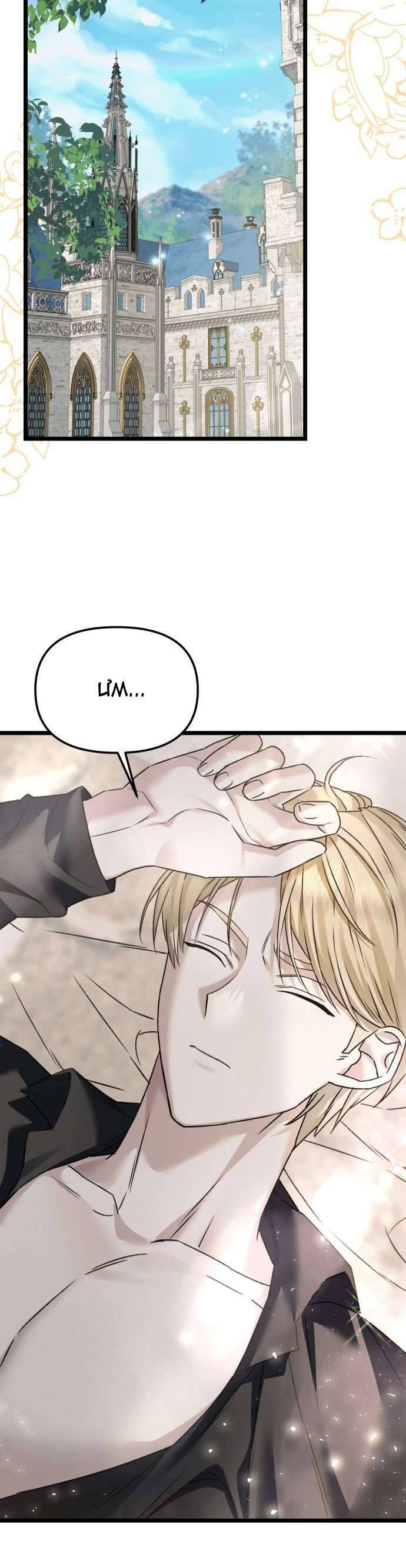 Trên Danh Nghĩa Vợ Chồng - Chapter 12 - Page 30