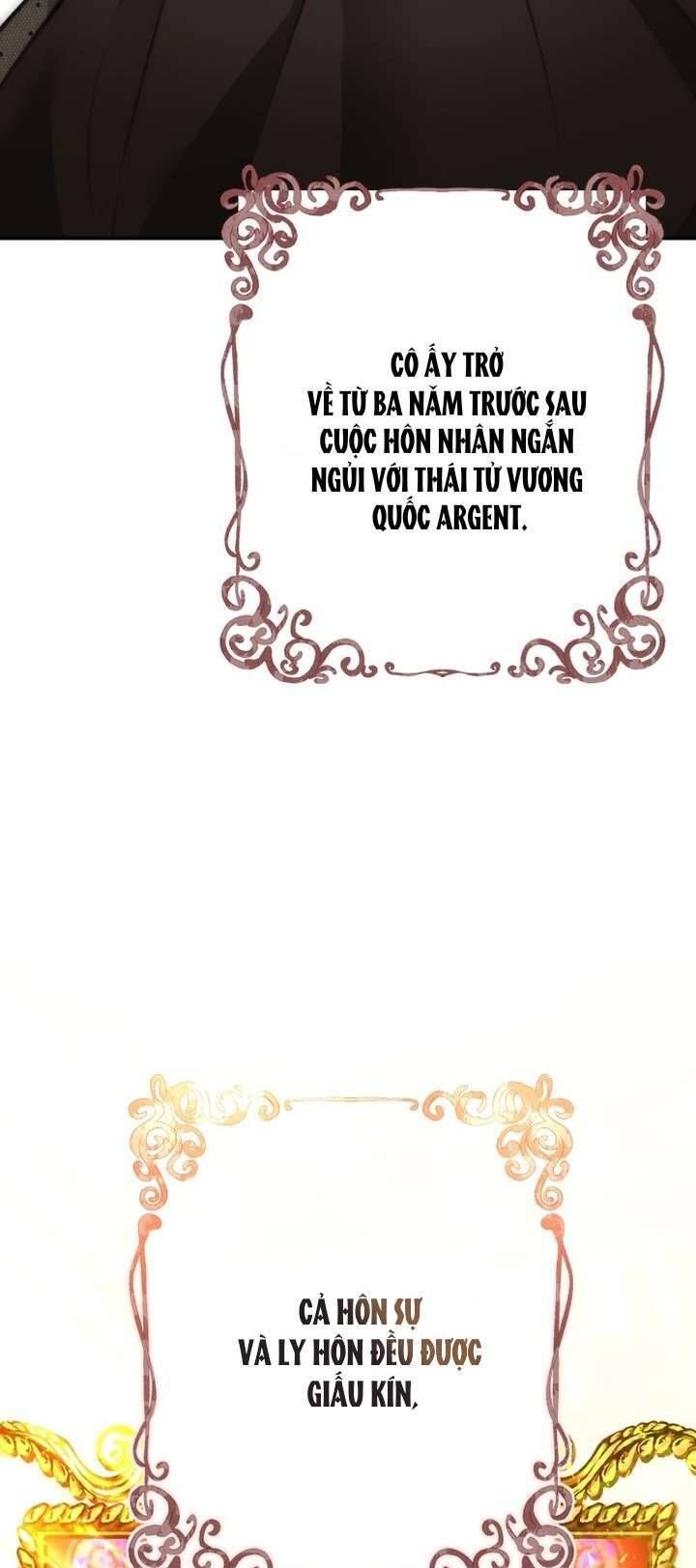 Cái Kết Của Cuộc Ly Hôn Chưa Trọn Vẹn - Chapter 11 - Page 29