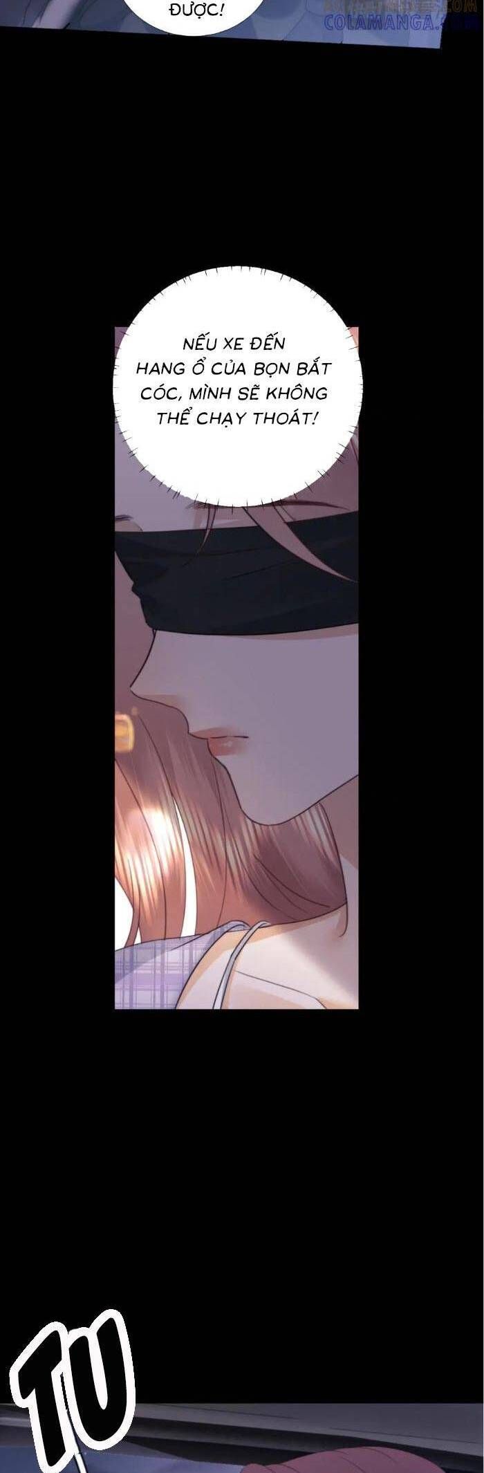 Fan Vợ Hiểu Biết Một Chút - Chapter 103 - Page 5