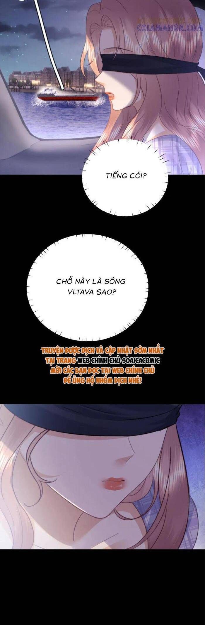 Fan Vợ Hiểu Biết Một Chút - Chapter 103 - Page 6