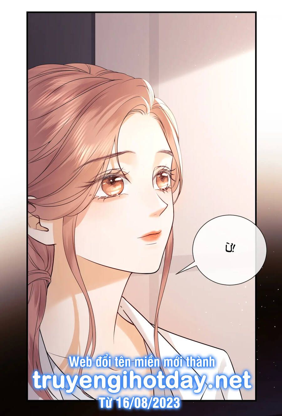 Fan Vợ Hiểu Biết Một Chút - Chapter 11.1 - Page 17
