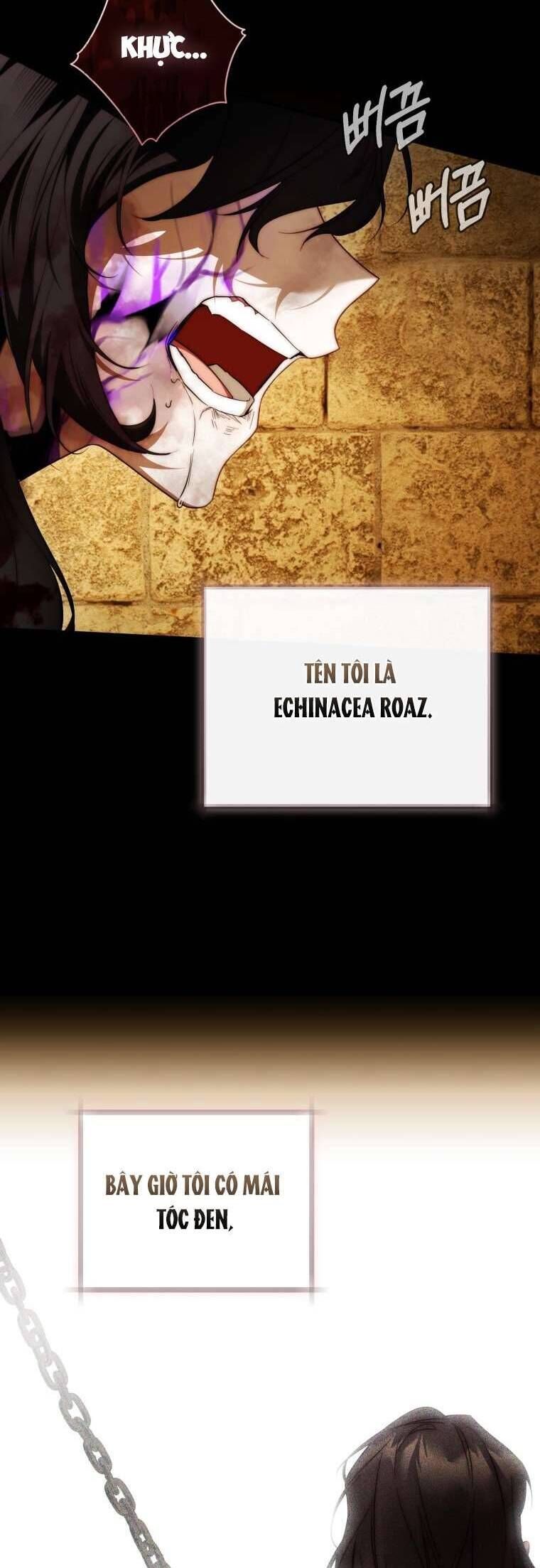 Hoa Giương Kiếm - Chapter 34 - Page 28
