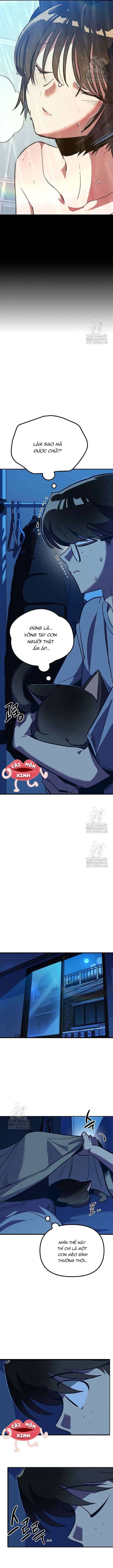 Thiếu Nữ Hoàng Đạo - Chapter 5 - Page 5