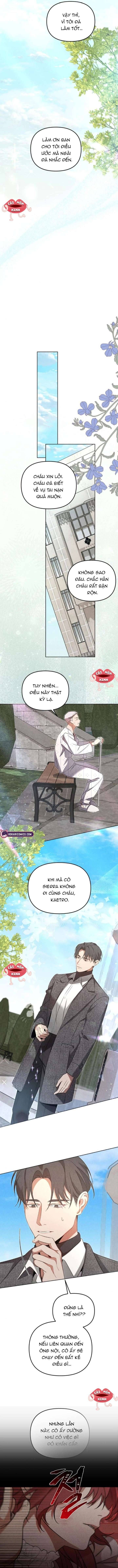 Nơi Đóa Hồng Vàng Úa Tàn - Chapter 11 - Page 12