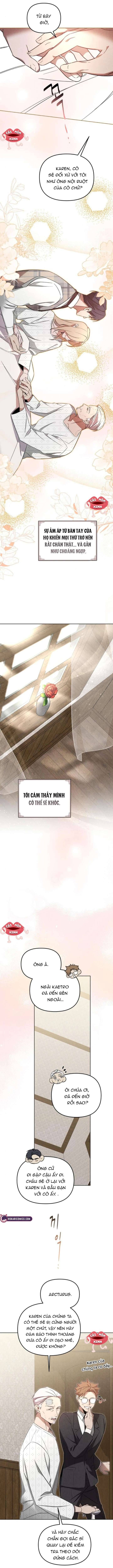 Nơi Đóa Hồng Vàng Úa Tàn - Chapter 11 - Page 8