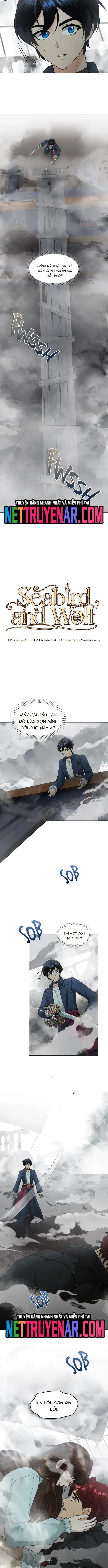Hải Âu & Sói Hoang - Chapter 47 - Page 5