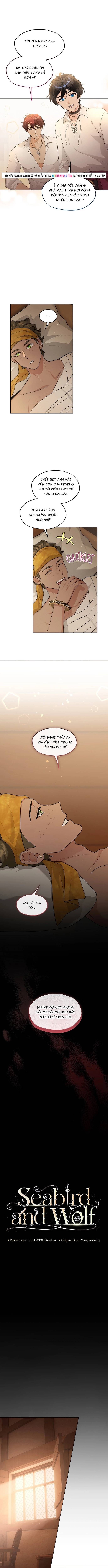 Hải Âu & Sói Hoang - Chapter 50 - Page 3