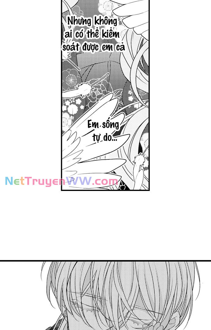 Ván Cược Tình Ái - Chapter 20 - Page 25