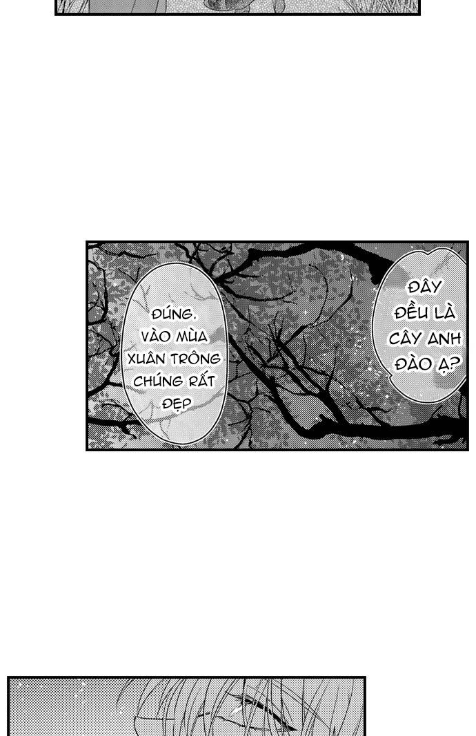 Ván Cược Tình Ái - Chapter 27 - Page 17