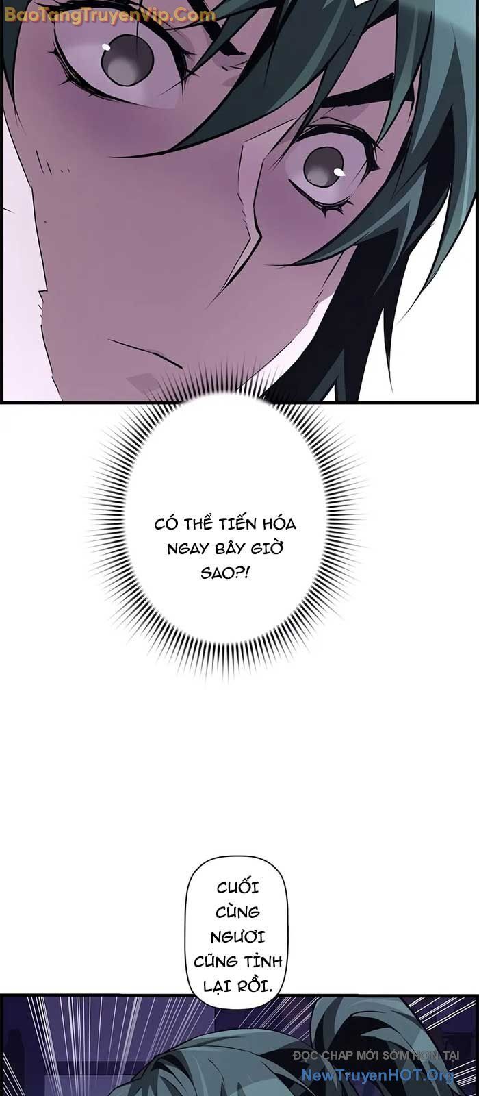 Đặc Tính Tiến Hóa Của Chiêu Hồn Sư - Chapter 88 - Page 12