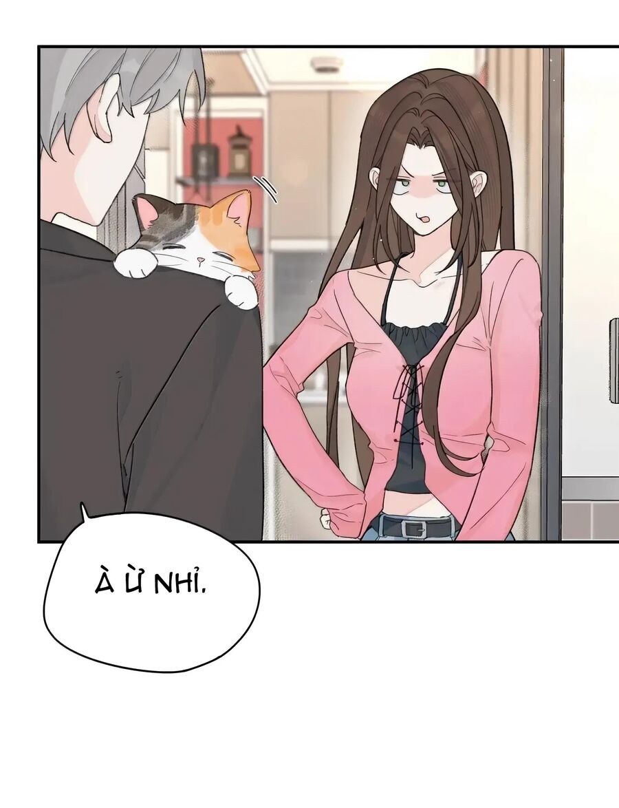 Hôm Nay Bạn Có Giám Phơi Bày Bản Thân Mình Không?! - Chapter 43 - Page 21